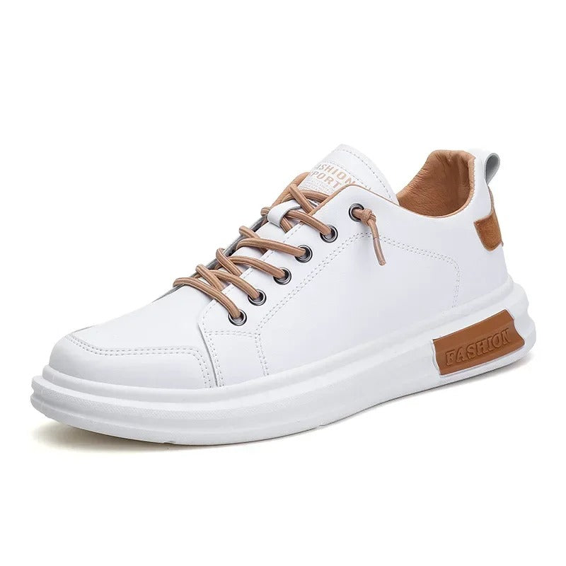 gid://shopify/MediaImage/24532719829086